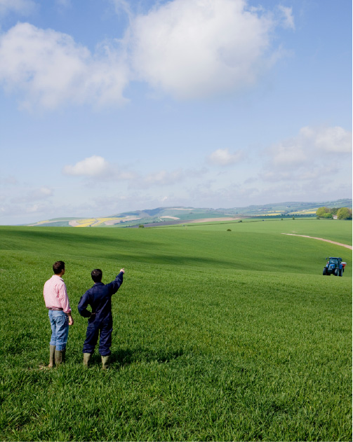 Perito realizando avaliação de imóvel rural com laudo técnico